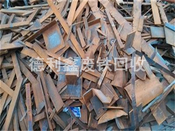 7986930.jpg 7986930.jpg