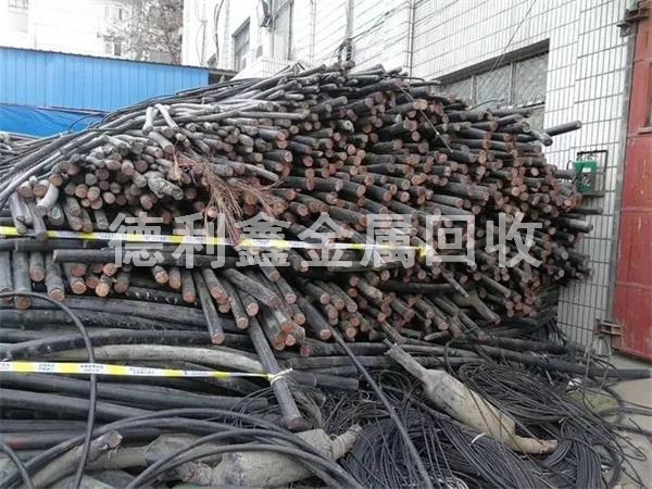 04535465.jpg 04535465.jpg