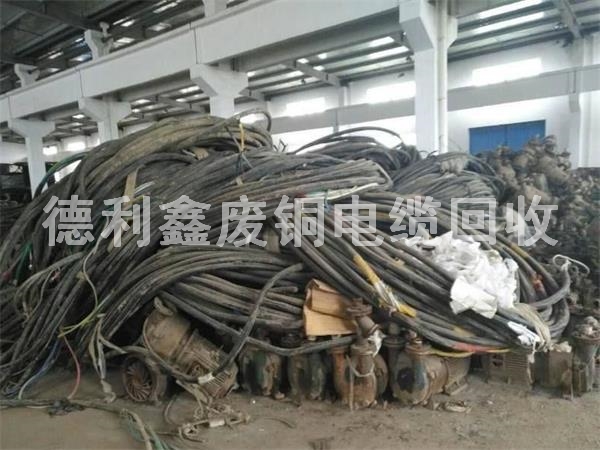 2542875452.jpg 2542875452.jpg